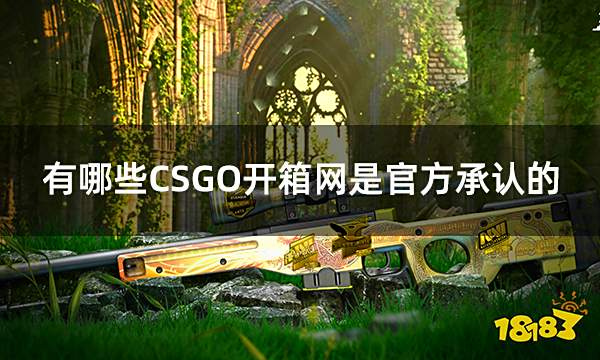 有哪些CSGO开箱网是官方承认的 高爆率的csgo开箱网站合集