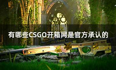 有哪些CSGO开箱网是官方承认的 爆率高的cs开箱网站大全