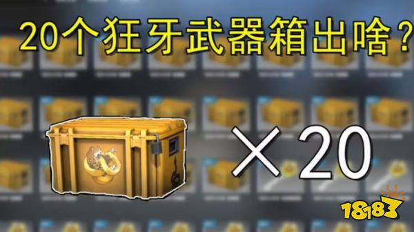 csgo回本率最高的箱子