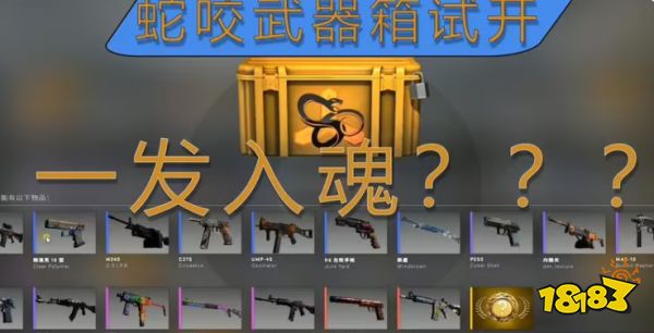 csgo回本率最高的箱子