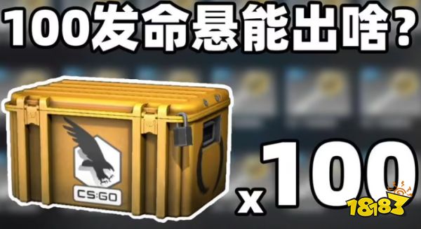 csgo回本率最高的箱子