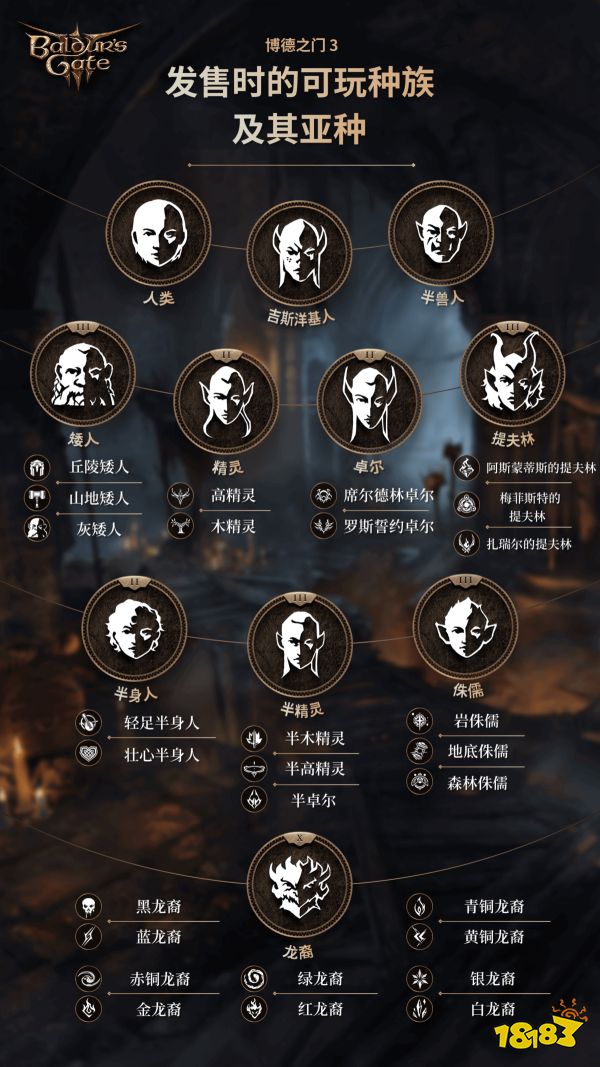 博德之门3正式版种族有哪些 博德之门3正式版全种族一览