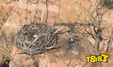 博德之门3七彩喷射戒指怎么获取 博德之门3七彩喷射戒指获得方法