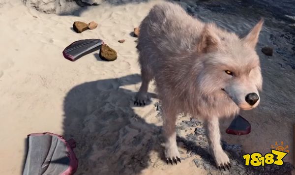 博德之门3德鲁伊怎么加点 博德之门3德鲁伊加点推荐