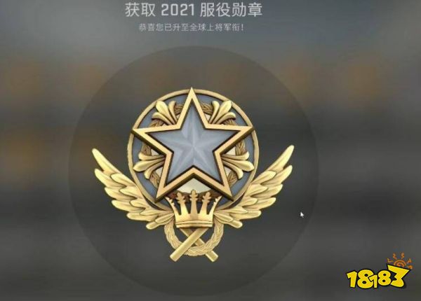 csgo多少级有服役勋章