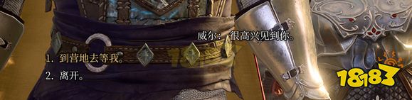 博德之门3威尔有感叹号没对话怎么解决 队友有感叹号没对话解决方法