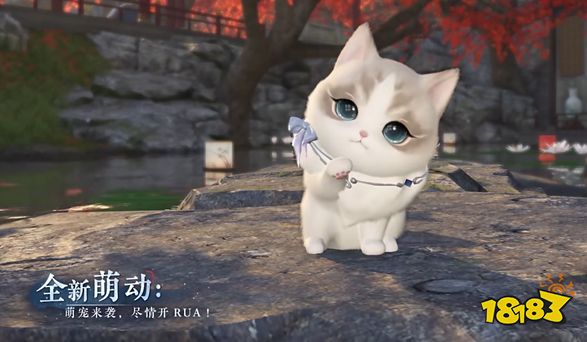 逆水寒手游纳猫之契三游历任务怎么过 纳猫之契三游历攻略