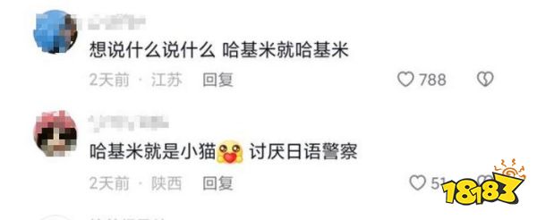 被滥用的“哈基米”，何尝不是一种赛博朋克