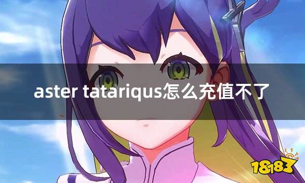 aster tatariqus怎么充值不了 海外游戏充值不了解决办法