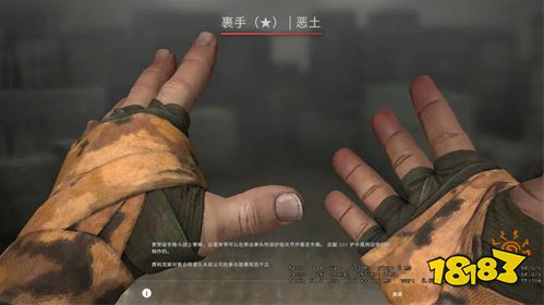 csgo手套警匪通用吗