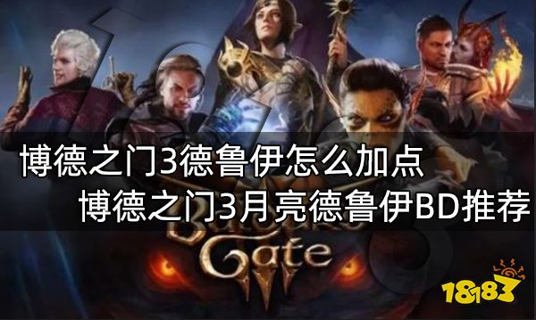 博德之门3德鲁伊怎么加点 博德之门3月亮德鲁伊BD推荐