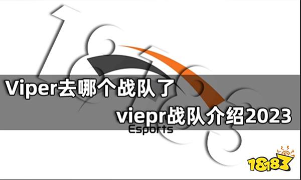 Viper去哪个战队了 viepr战队介绍2023