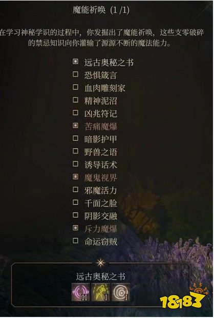 博德之门3邪术师怎么加点 博德之门3魔爆术士BD推荐