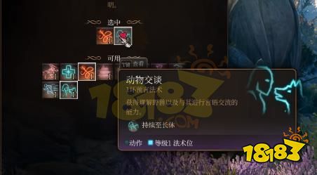 博德之门3游侠怎么加点 博德之门3游侠驯兽师动物园BD推荐