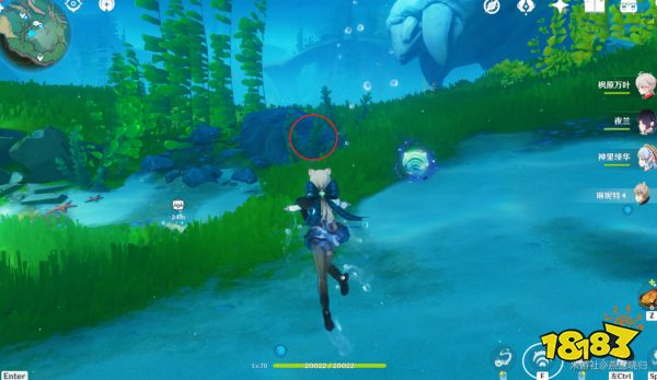 原神海獭宝箱位置大全 7只海獭具体点位图一览