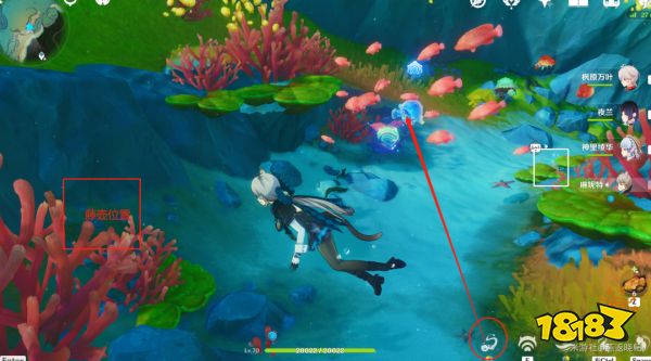 原神海獭宝箱位置大全 7只海獭具体点位图一览