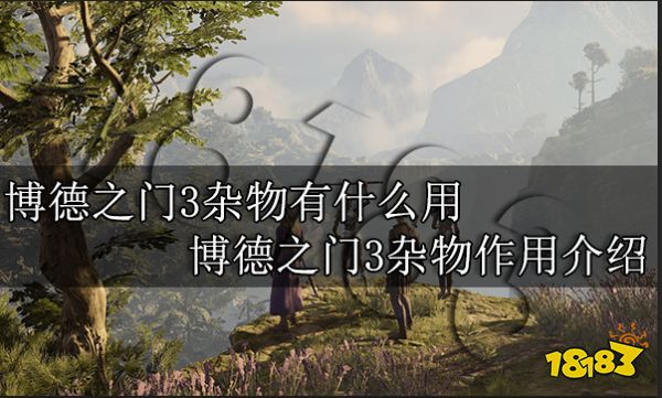 博德之门3杂物有什么用 博德之门3杂物作用介绍