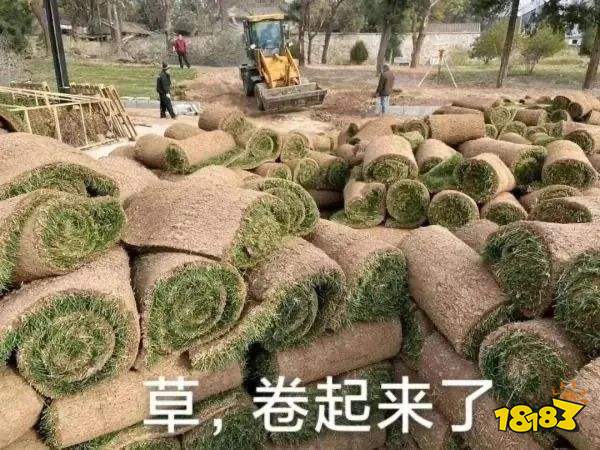 对话黄一孟:砸了20亿后,心动决定不卷了