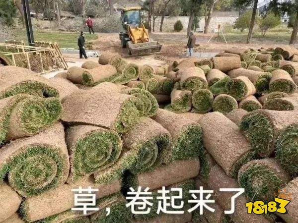 对话黄一孟：砸了20亿后，心动决定不卷了