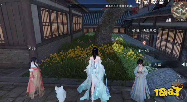 逆水寒手游抢猫奇遇怎么触发 抢猫任务触发条件