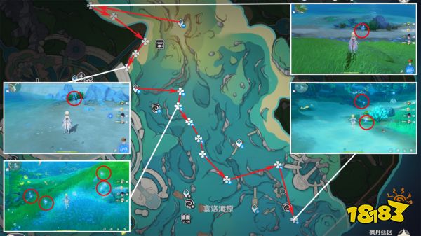 原神海露花采集路线图 菲米尼海露花收集位置大全