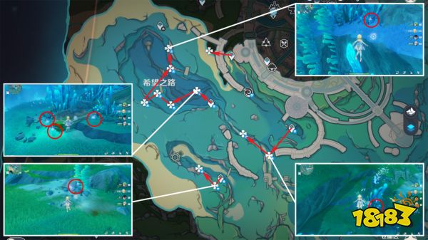 原神海露花采集路线图 菲米尼海露花收集位置大全