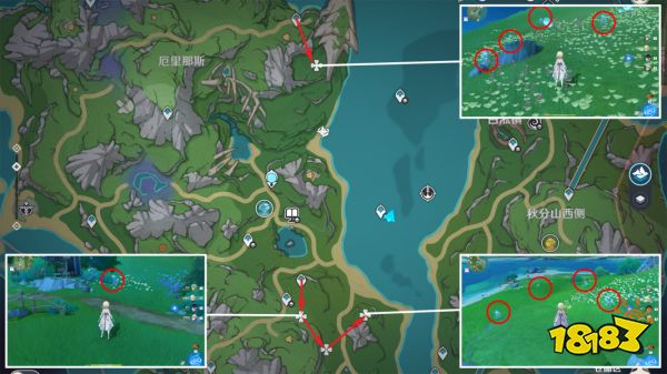 原神海露花采集路线图 菲米尼海露花收集位置大全