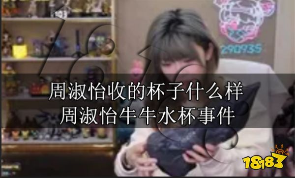 周淑怡收的杯子什么样 周淑怡牛牛水杯事件