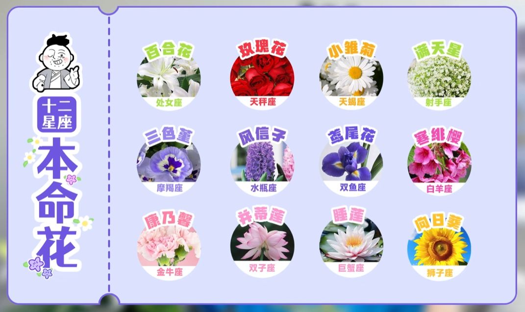 卖身求推广还找星座博主算命,圣境之塔竟成史上最惨运营方?