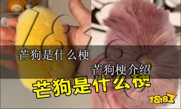 芒狗是什么梗 芒狗梗介绍