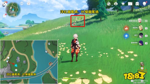 原神光影研学第四天怎么过 光影研学旖旎水界第四天攻略