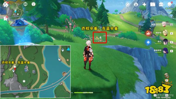 原神光影研学第四天怎么过 光影研学旖旎水界第四天攻略