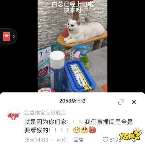 浇死发财树已经过时了,这才是现代商战!