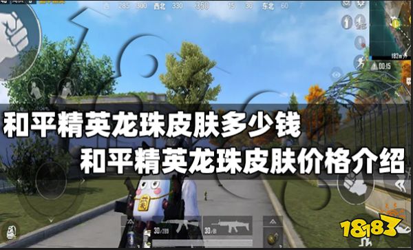 慈爱精英龙珠皮肤众少钱 安逸精英龙珠皮肤价钱先容