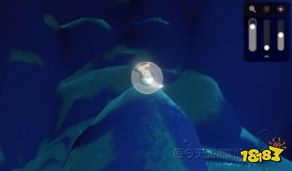 光遇拾光季任务二拍摄飞鸟攻略 拾光季任务二怎么做