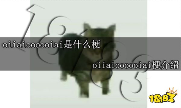 oiiaioooooiai是什么梗 oiiaioooooiai梗介绍