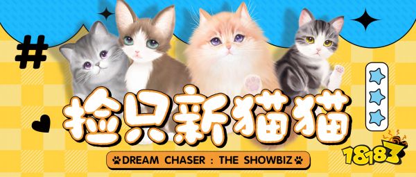 《绝对演绎》宠物系统更新，打造堪比猫咖的温馨喵之家