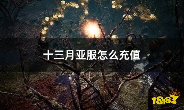 十三月亚服怎么充值 亚服最新充值教学介绍