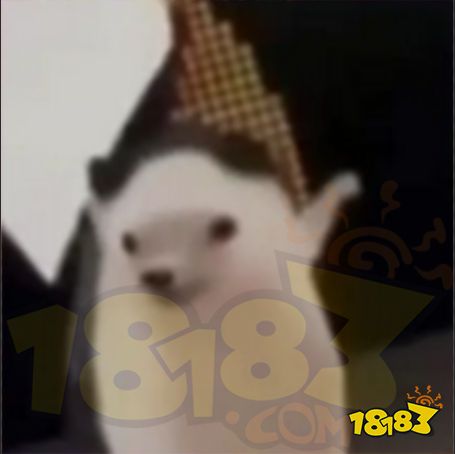 刺猬跳舞是什么梗 刺猬跳舞梗介绍