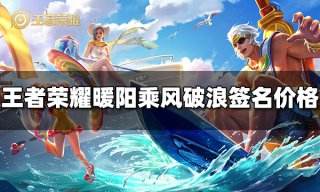 王者荣耀暖阳乘风破浪签名多少钱 暖阳乘风破浪签名价格