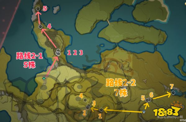 原神白術突破材料介紹 白術突破材料有哪些