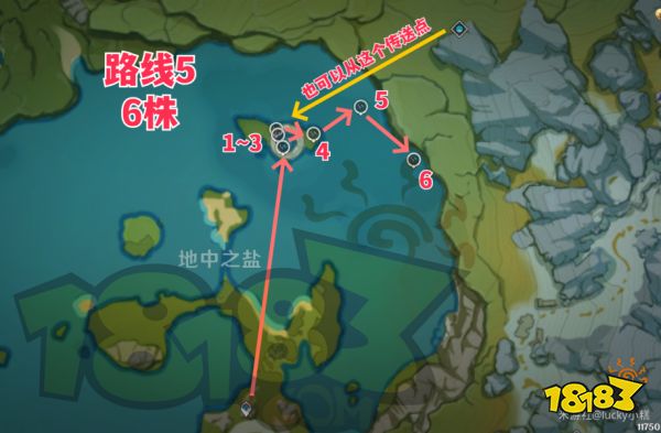 原神白術突破材料介紹 白術突破材料有哪些