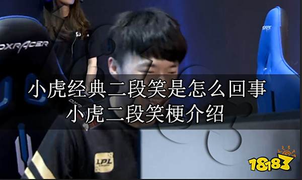 小虎经典二段笑是怎么回事 小虎二段笑梗介绍