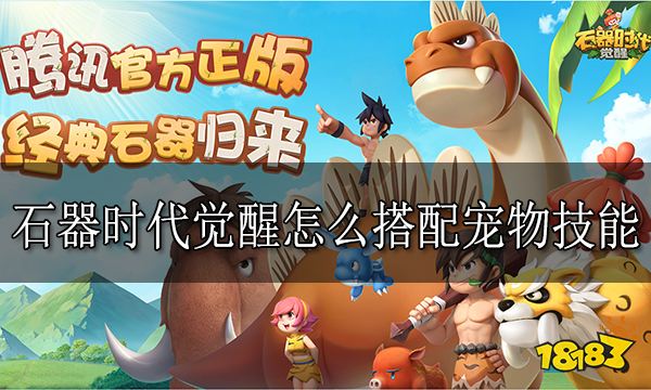 石器时代觉醒怎么搭配宠物技能 宠物技能搭配方法分享