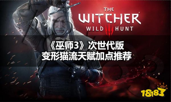 巫师3次世代版变形猫流天赋怎么加点,巫师3次世代版变形猫流天赋加点推荐