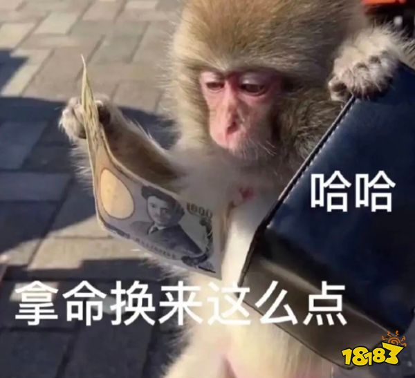 为什么这届年轻人不想当人，只想变成猴子？