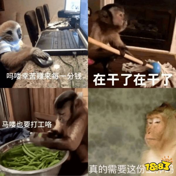 为什么这届年轻人不想当人，只想变成猴子？