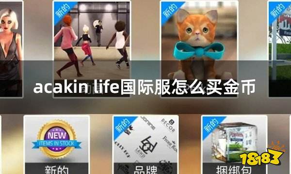 avakin life国际服怎么买金币 国际服游戏代币充值教学