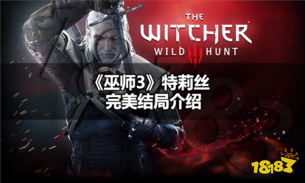 巫师3特莉丝完美结局是什么 巫师3特莉丝完美结局介绍