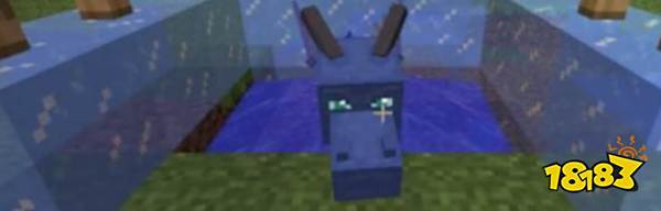 我的世界怎么孵化龙蛋